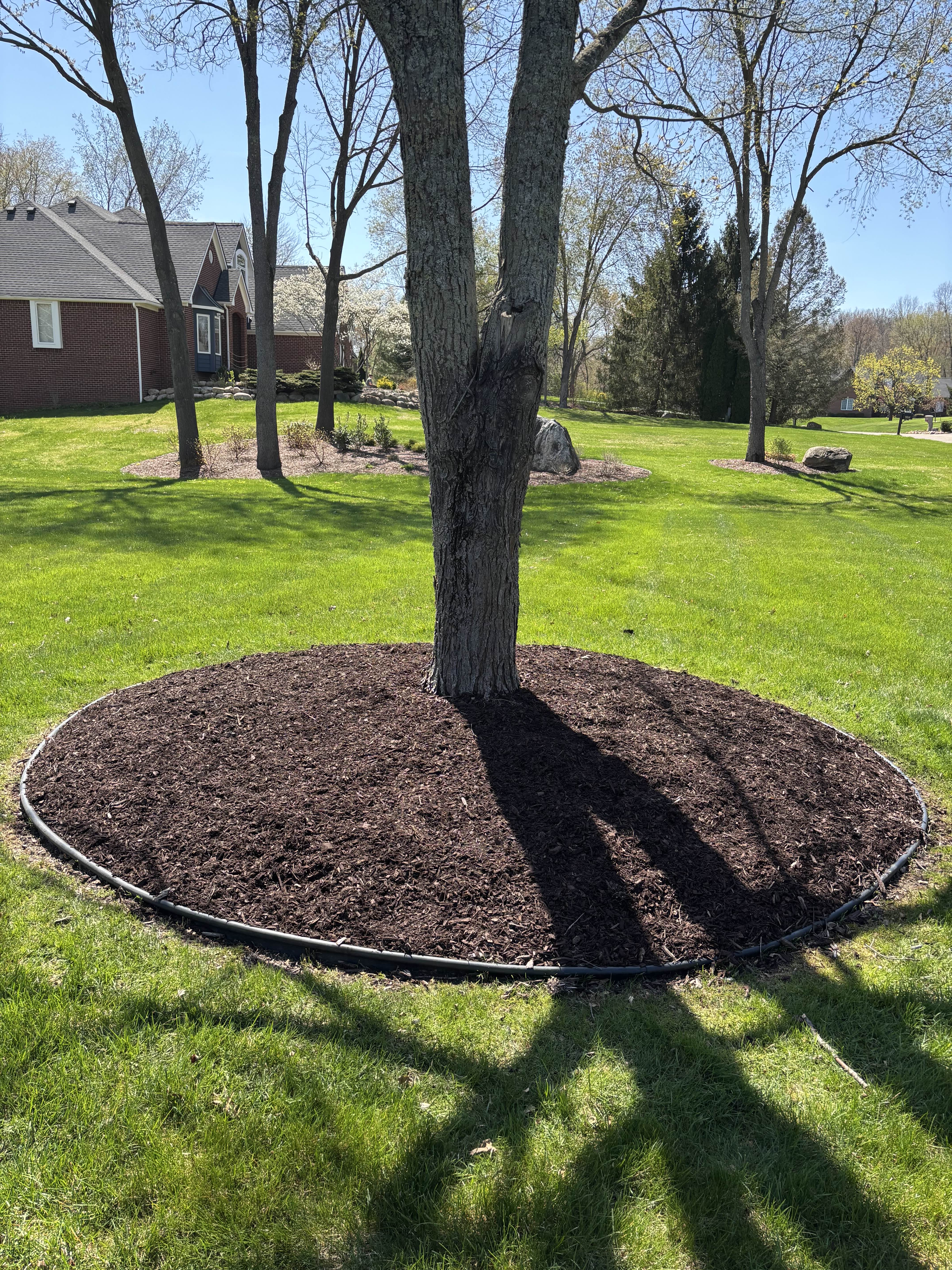 Landscape transformation project by Zimmies