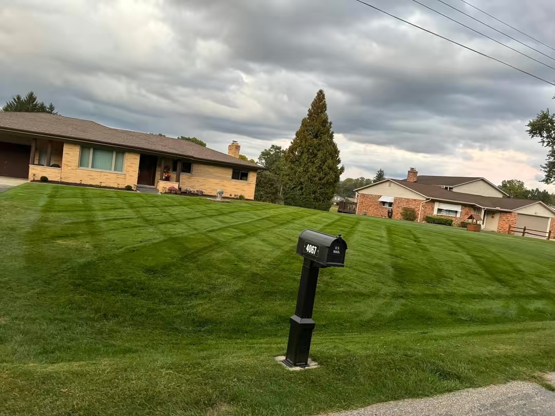 Beautiful landscaping project results